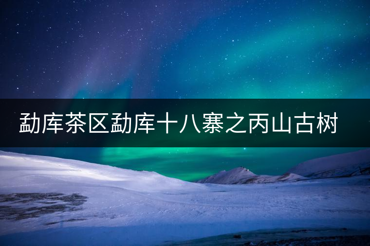 勐庫茶區勐庫十八寨之丙山古樹茶簡介