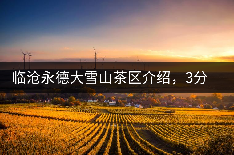 臨滄永德大雪山茶區介紹，3分鐘了解永德大雪山古樹茶