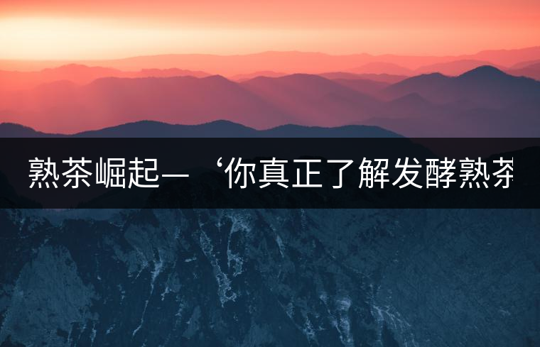 熟茶崛起—‘你真正了解發(fā)酵熟茶？’