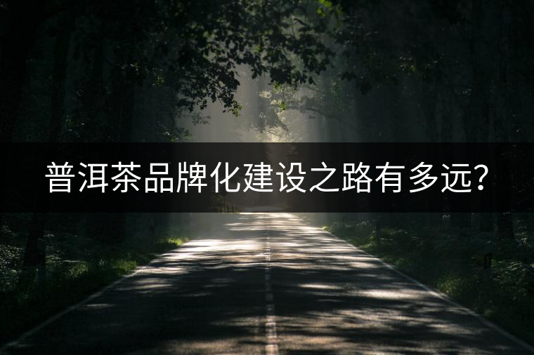 普洱茶品牌化建設之路有多遠？