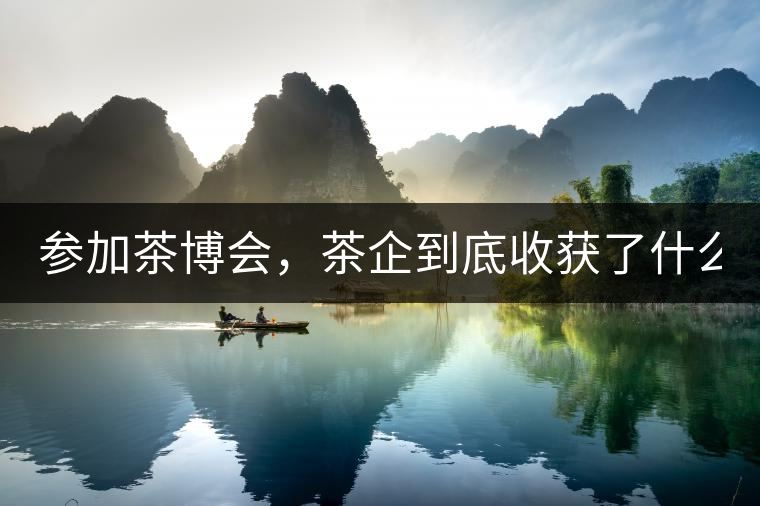 參加茶博會，茶企到底收獲了什么？