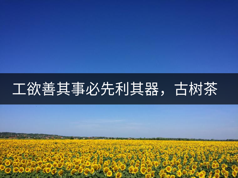 工欲善其事必先利其器,古樹茶用什么茶器最好? 工欲善其事必先利其器,古樹茶用什么茶器最好?