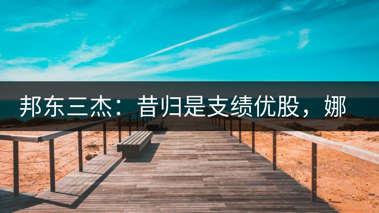 邦東三杰:昔歸是支績優股,娜罕是支潛力股 邦東三杰:昔歸是支績優股,娜罕是支潛力股