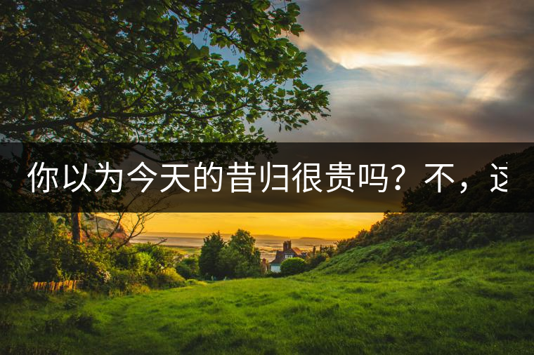 你以為今天的昔歸很貴嗎?不,這只是開始! 你以為今天的昔歸很貴嗎?不,這只是開始!