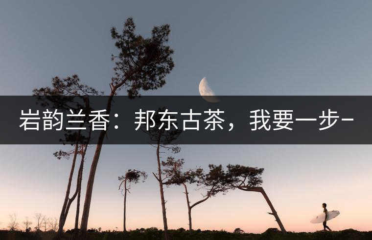 巖韻蘭香：邦東古茶，我要一步一步往上爬！