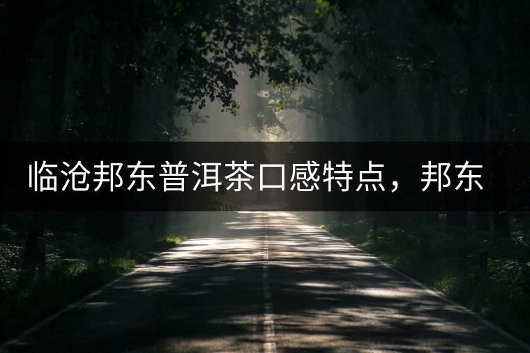 臨滄邦東普洱茶口感特點，邦東古樹茶介紹