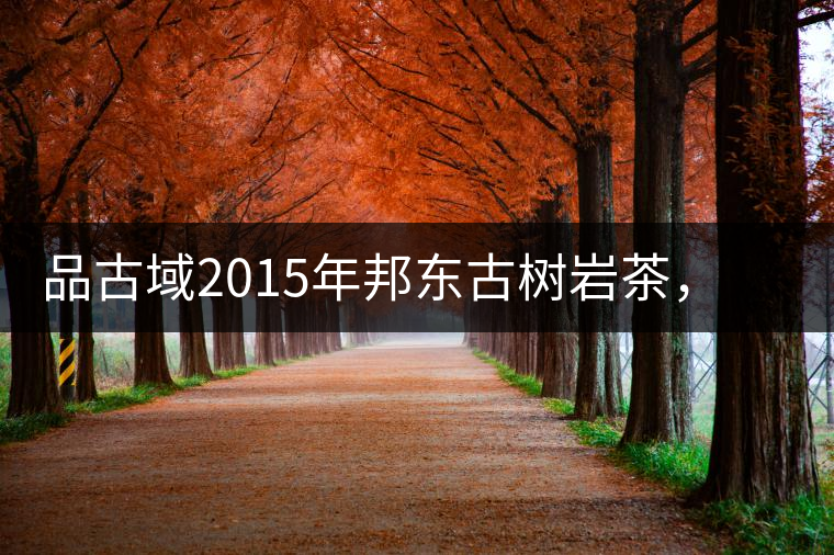 品古域2015年邦東古樹巖茶,感受邦東茶的魅力 品古域2015年邦東古樹巖茶,感受邦東茶的魅力