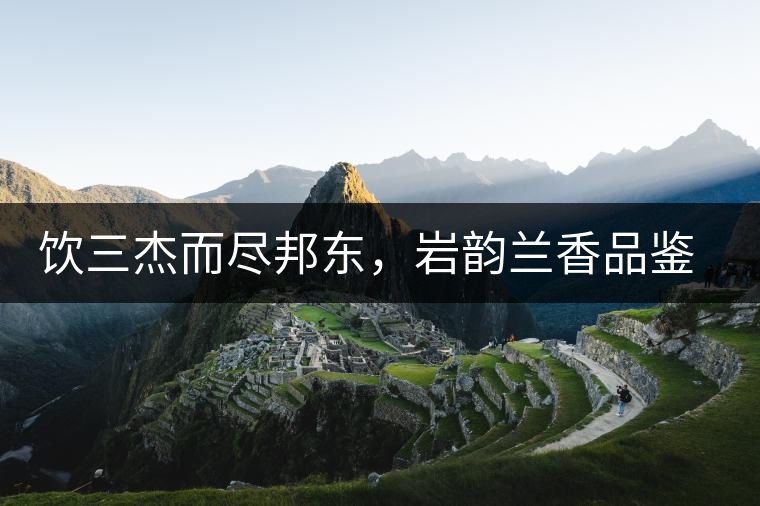 飲三杰而盡邦東,巖韻蘭香品鑒:生于山石上,韻味正當 飲三杰而盡邦東,巖韻蘭香品鑒:生于山石上,韻味正當