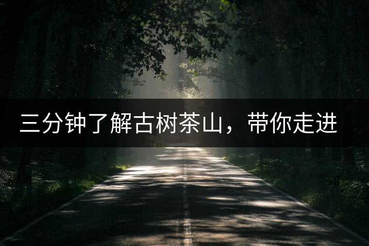 三分鐘了解古樹(shù)茶山,帶你走進(jìn)西蒙佛殿山 三分鐘了解古樹(shù)茶山,帶你走進(jìn)西蒙佛殿山