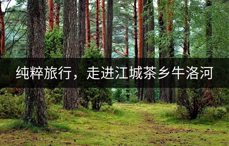 純粹旅行，走進江城茶鄉(xiāng)牛洛河