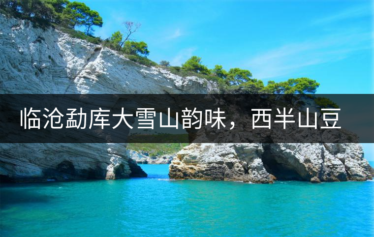 臨滄勐庫大雪山韻味,西半山豆腐寨古樹茶 臨滄勐庫大雪山韻味,西半山豆腐寨古樹茶