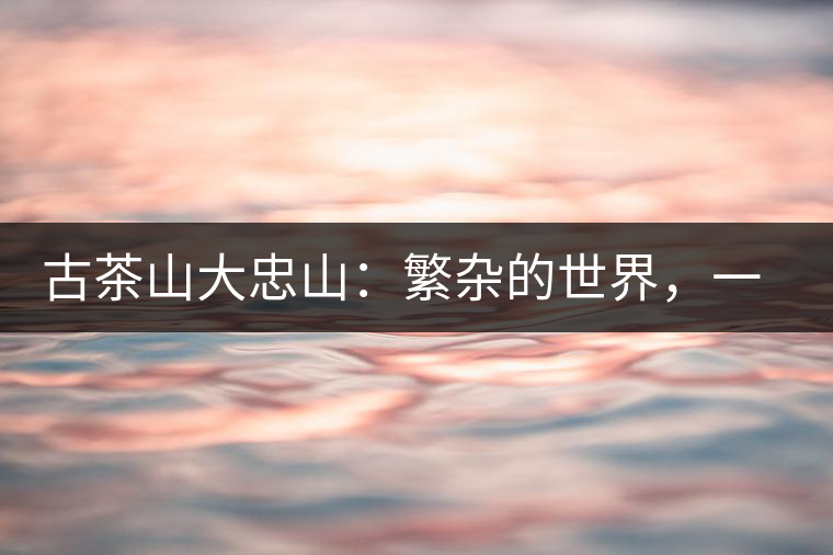 古茶山大忠山:繁雜的世界,一杯就夠了 古茶山大忠山:繁雜的世界,一杯就夠了
