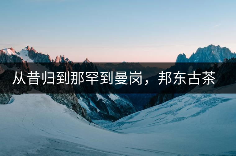 從昔歸到那罕到曼崗，邦東古茶藏著一條規律！