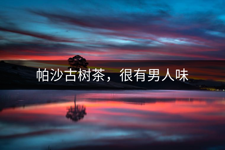 帕沙古樹茶,很有男人味 帕沙古樹茶,很有男人味