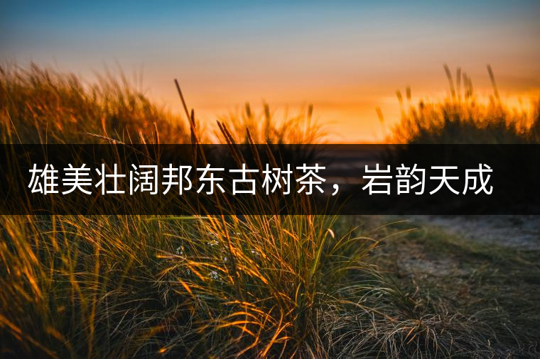 雄美壯闊邦東古樹茶，巖韻天成甘香鮮靈