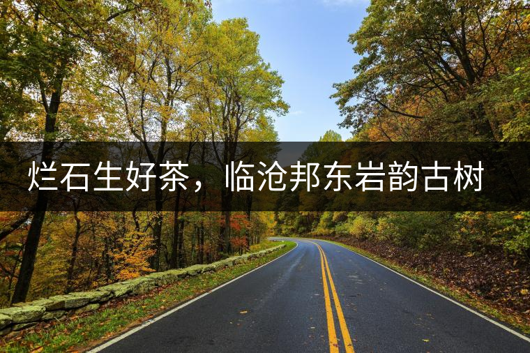 爛石生好茶,臨滄邦東巖韻古樹普洱茶 爛石生好茶,臨滄邦東巖韻古樹普洱茶