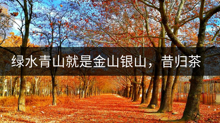 綠水青山就是金山銀山,昔歸茶農唱著“茶歌”奔小康 綠水青山就是金山銀山,昔歸茶農唱著“茶歌”奔小康