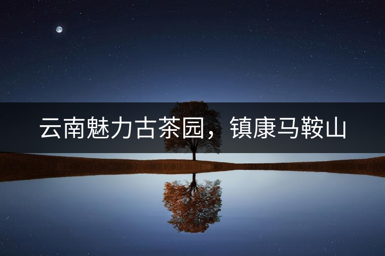 云南魅力古茶園,鎮(zhèn)康馬鞍山 云南魅力古茶園,鎮(zhèn)康馬鞍山