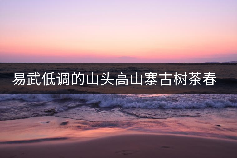 易武低調的山頭高山寨古樹茶春茶 易武低調的山頭高山寨古樹茶春茶