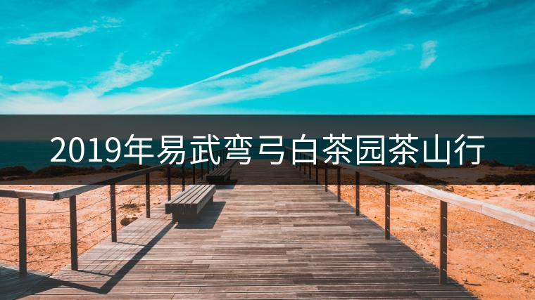 2019年易武彎弓白茶園茶山行 2019年易武彎弓白茶園茶山行