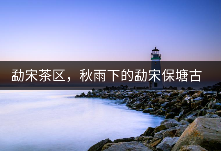 勐宋茶區(qū)，秋雨下的勐宋保塘古茶園