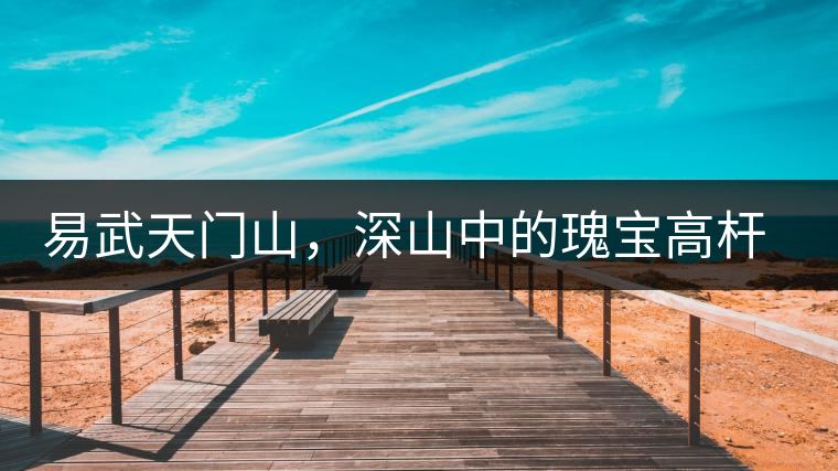 易武天門山,深山中的瑰寶高桿古樹 易武天門山,深山中的瑰寶高桿古樹