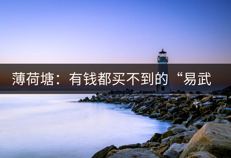 薄荷塘:有錢都買不到的“易武貴胄”,卓爾不群,無茶可及 薄荷塘:有錢都買不到的“易武貴胄”,卓爾不群,無茶可及