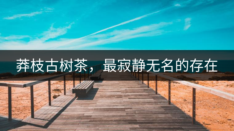 莽枝古樹茶，最寂靜無名的存在