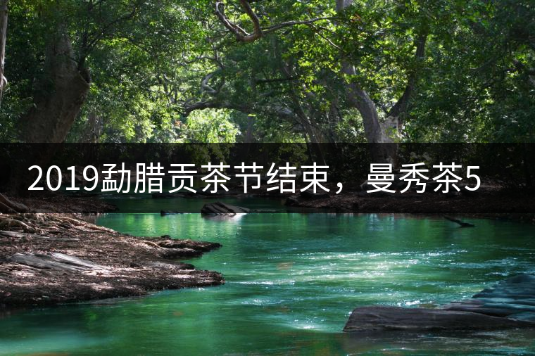 2019勐臘貢茶節(jié)結(jié)束，曼秀茶5公斤107萬奪得金獎