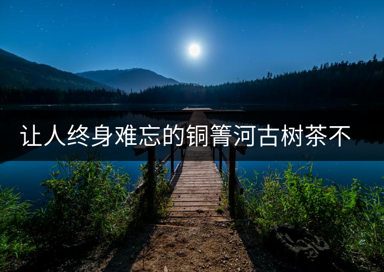 讓人終身難忘的銅箐河古樹茶不僅僅只有他的巔峰口感 讓人終身難忘的銅箐河古樹茶不僅僅只有他的巔峰口感