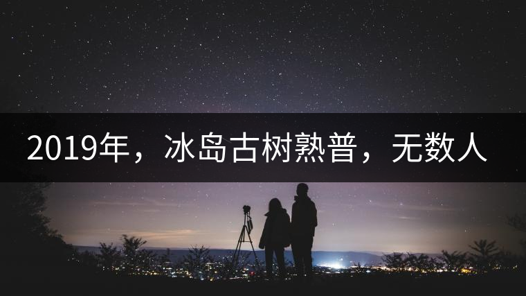 2019年，冰島古樹熟普，無數人在尋找