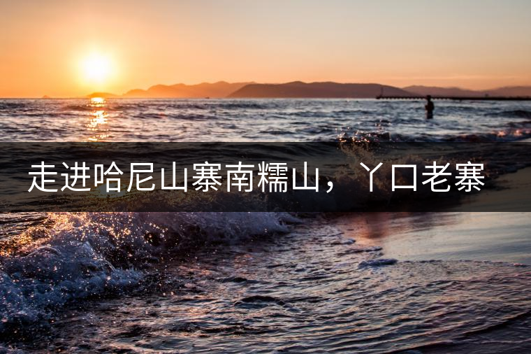 走進哈尼山寨南糯山,丫口老寨普洱茶特點 走進哈尼山寨南糯山,丫口老寨普洱茶特點