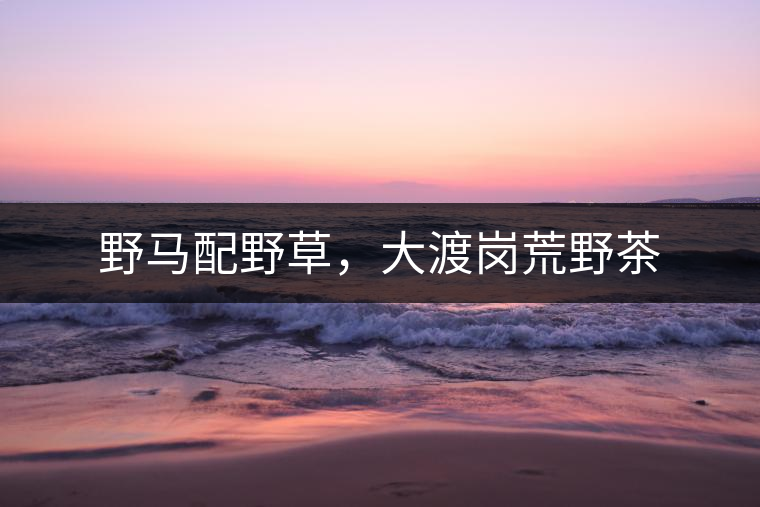 野馬配野草,大渡崗荒野茶 野馬配野草,大渡崗荒野茶