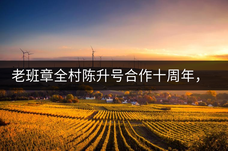 老班章全村陳升號(hào)合作十周年，贈(zèng)送千兩百家茶