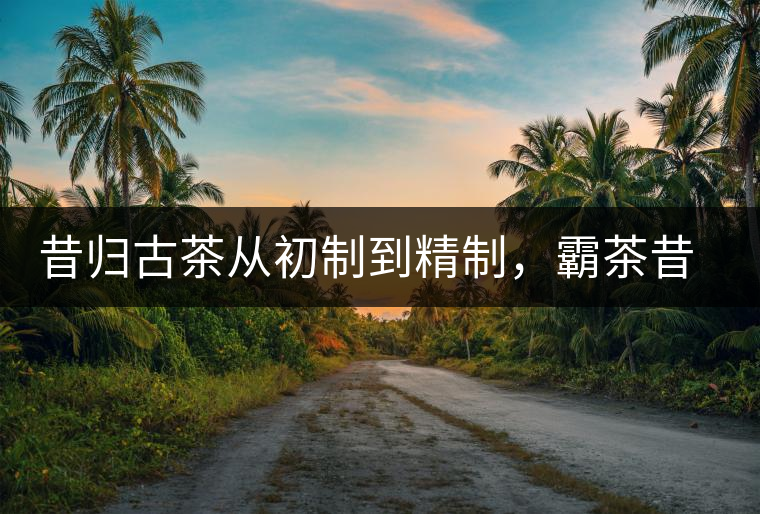 昔歸古茶從初制到精制，霸茶昔歸茶農專業合作社成立