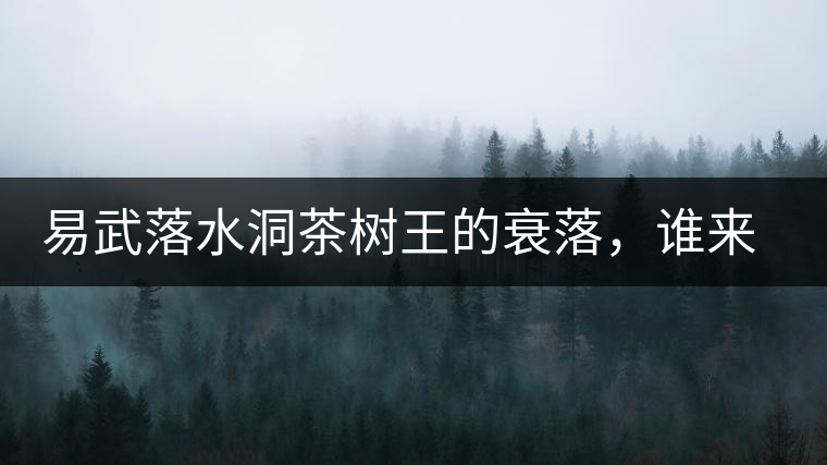 易武落水洞茶樹王的衰落,誰來關注古樹茶? 易武落水洞茶樹王的衰落,誰來關注古樹茶?