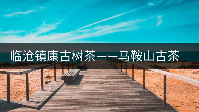 臨滄鎮(zhèn)康古樹茶——馬鞍山古茶園 臨滄鎮(zhèn)康古樹茶——馬鞍山古茶園