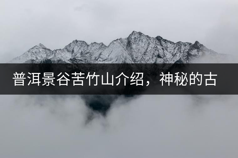 普洱景谷苦竹山介紹,神秘的古樹普洱茶原產地 普洱景谷苦竹山介紹,神秘的古樹普洱茶原產地