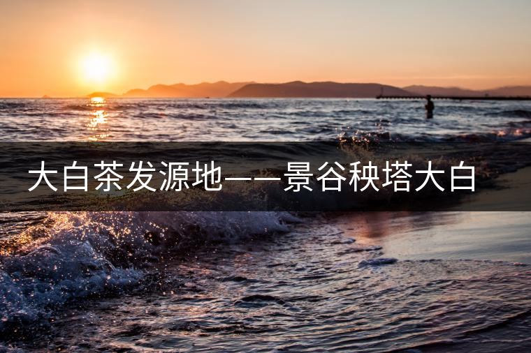 大白茶發源地——景谷秧塔大白茶特點介紹 大白茶發源地——景谷秧塔大白茶特點介紹