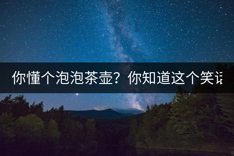你懂個泡泡茶壺？你知道這個笑話嗎？