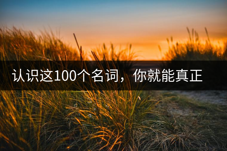 認識這100個名詞,你就能真正了解普洱茶? 認識這100個名詞,你就能真正了解普洱茶?