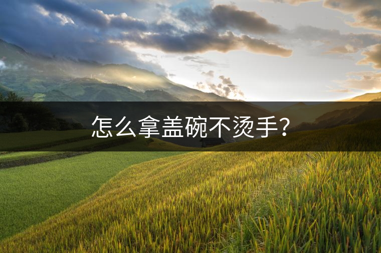 怎么拿蓋碗不燙手？