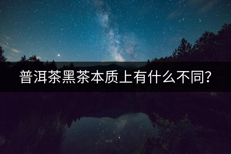 普洱茶黑茶本質(zhì)上有什么不同？