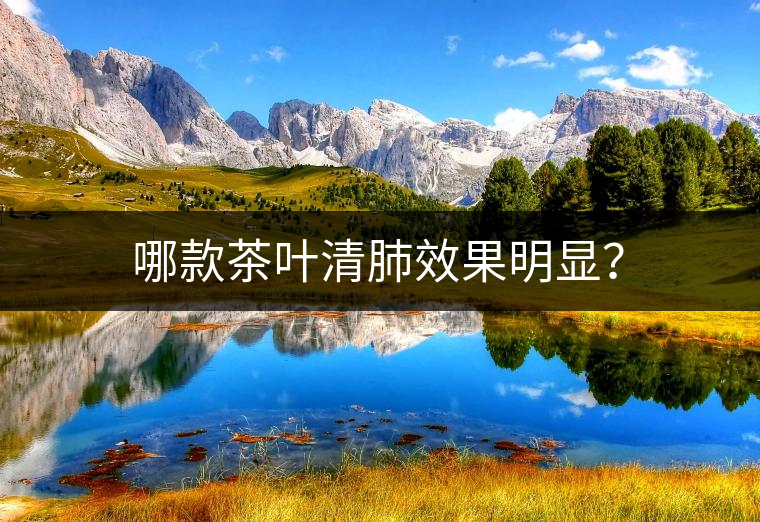 哪款茶葉清肺效果明顯？