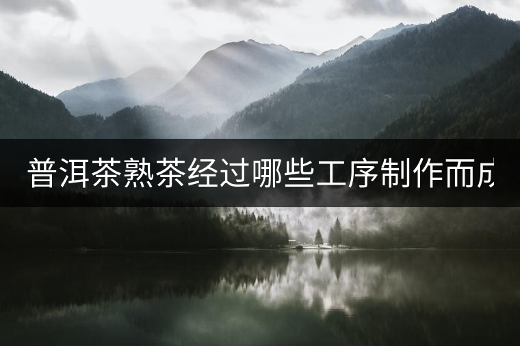 普洱茶熟茶經過哪些工序制作而成？