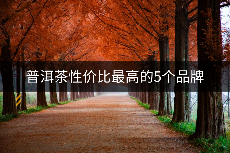 普洱茶性價比最高的5個品牌 普洱茶性價比最高的5個品牌