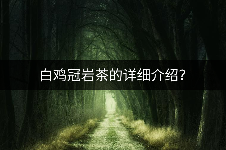 白雞冠巖茶的詳細介紹？