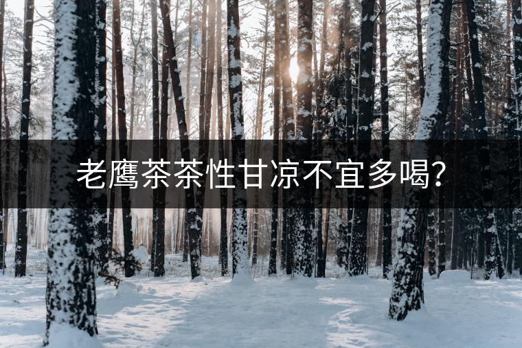 老鷹茶茶性甘涼不宜多喝？