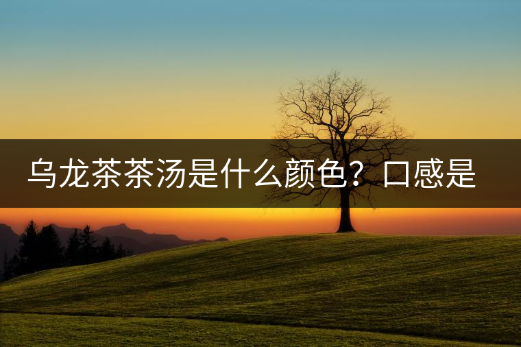 烏龍茶茶湯是什么顏色？口感是什么？