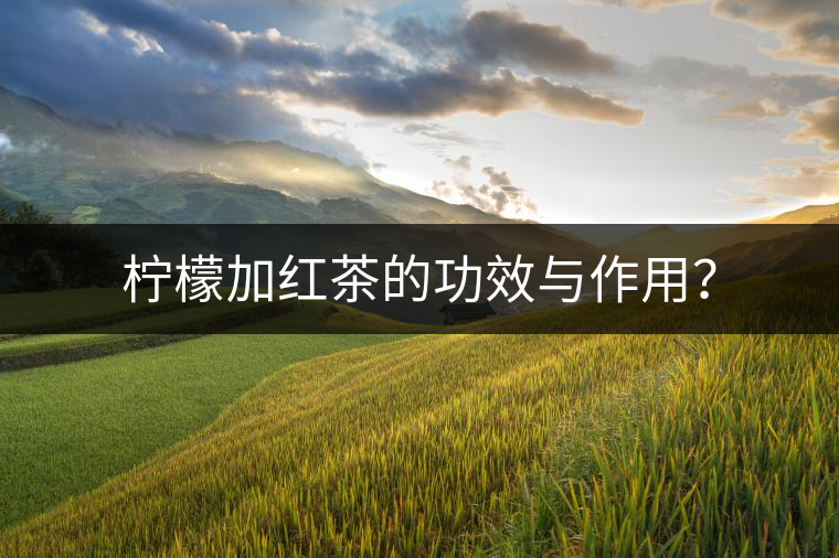 檸檬加紅茶的功效與作用？